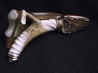 Hunter_003.jpg