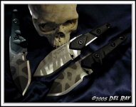 skull_3airkat_1b.jpg