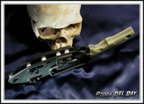 skull_vortecsheath_1b.jpg