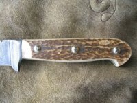 Damastnicker DES 576_Sx_18.jpg