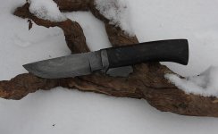 Hunter-Ebony1.jpg