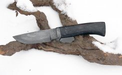 Hunter-Ebony1b.jpg