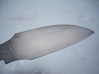 DSCN2757 (Medium).JPG