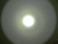 P1030595.2.jpg