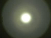 P1030598.2.jpg