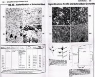 ASM MOCS P.264_Alloy_1084_Austinization.jpg
