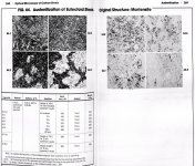 ASM MOCS P.268_Alloy_1084_Austinization.jpg