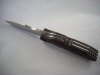 DSCN2774 (Medium).JPG