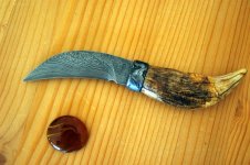 pilz1.JPG