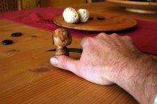 pilz3.JPG