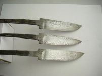 DSCN2782 (Medium).JPG