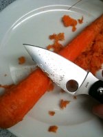 Foto7.jpg