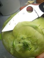Foto4.jpg