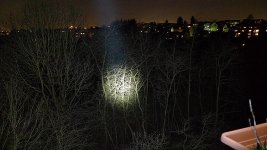 P1030935 Kopie.jpg
