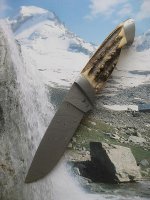 IMG_1589.jpg