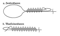 Knoten.jpg