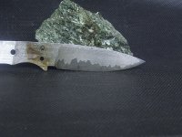 RIMG0049.jpg
