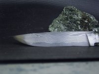 RIMG0051.jpg
