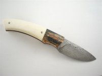 6(Medium).JPG