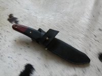 c38-inhuelle.jpg