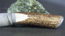 Hirschuser6.jpg