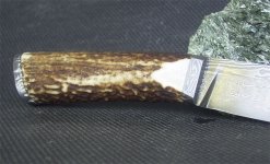 Hirschuser4.jpg