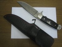 mf017.jpg