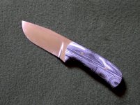 zebra1.jpg
