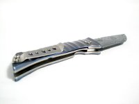 K012 FMJ Micha Damast 006.JPG