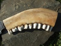 DSCF1272.geaendert.jpg