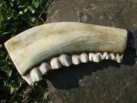 DSCF1271.geaendert.jpg
