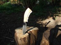 DSCF1273.geaendert.jpg