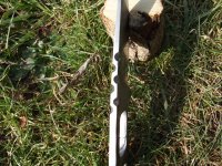 DSCF1166.geaendert.JPG
