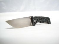 K015 Midnight Tiger NX 02.JPG