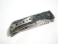 K015 Midnight Tiger NX 04.JPG