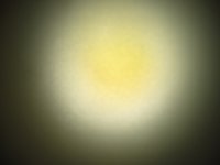 P1220928 - Kopie.JPG