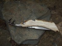 DSCF1419.geaendert.jpg