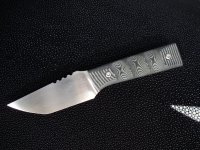 089 G10 Midnight Tiger 03.JPG
