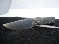 089 G10 Midnight Tiger 04.JPG