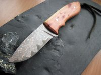 Hugin013.jpg