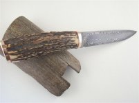 DSCN3212 (Medium).JPG