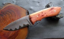 Hugin016.jpg