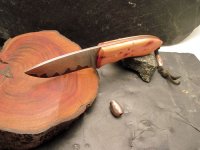 Hugin024.jpg