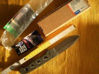 DSCN3287.jpg