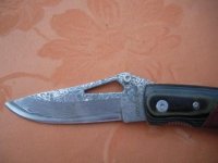 SANY0728.JPG