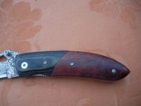 SANY0729.JPG