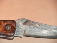 SANY0497.JPG