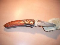 SANY0499.JPG