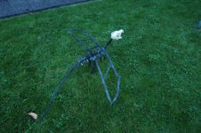 DSC_0007.jpg