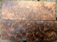 P1030369 [1600x1200] [1024x768].jpg